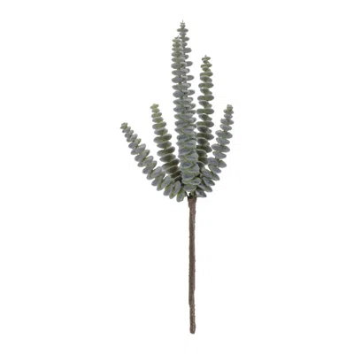 Melrose International Succulent Plant Pick (set Of 6) - Green