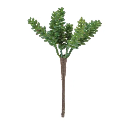 Melrose International Succulent Plant Pick (set Of 6) - Green