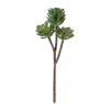 Melrose International Succulent Plant Pick (set Of 6) - Green