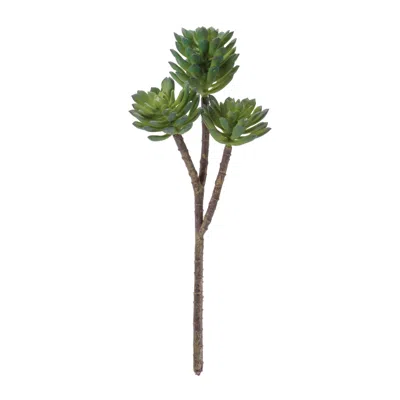 Melrose International Succulent Plant Pick (set Of 6) - Green