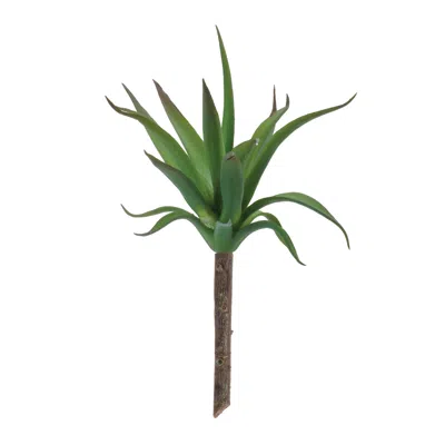 Melrose International Succulent Plant Pick (set Of 6) - Green