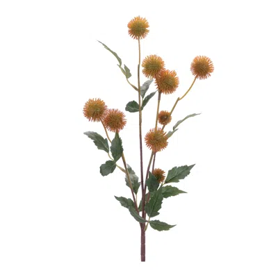 Melrose International Thistle Pod Branch (set Of 6) - Orange, Green