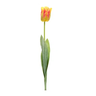 Melrose International Tulip Floral Stem (set Of 6) - Green, Yellow