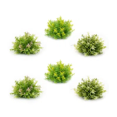 Melrose International Variegated Mini Leaf Half Orb (set Of 6) - Green