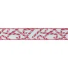 Melrose International Wired Candy Cane Ribbon (set Of 2) - White, Red
