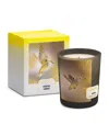Memo Paris Skiros Candle