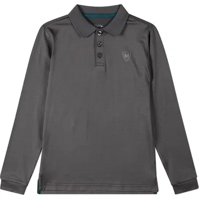 Memoi Kids'  Silky Dri-effect Long Sleeve Polo Shirt In Gray