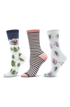 Memoi Winter Skiing Assorted 3-pack Crew Socks In Blue