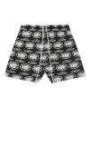 Memory Lane Barbwire Print Mesh Shorts In Black