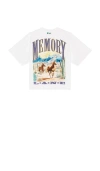 Memory Lane Wild Horses Crop Tee In White