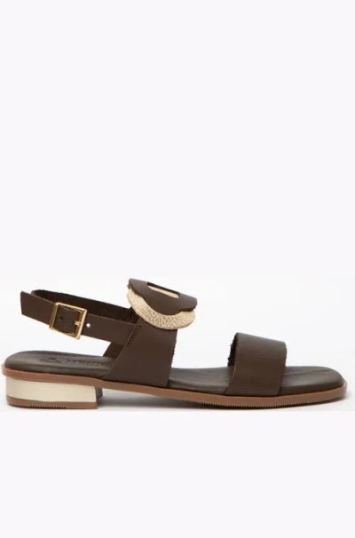 Menina Step Cala Flat Sandal In Brown