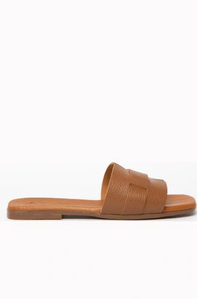 Menina Step Lucila Flat Sandal In Brown