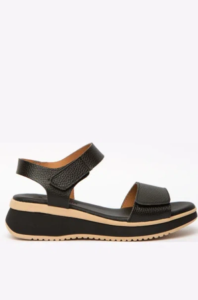 Menina Step Napoli Flat Sandal In Black