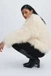 Meotine Shearling Jacket In Cream