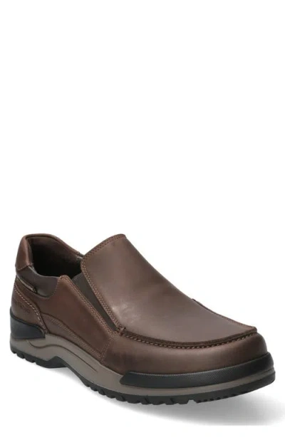 Mephisto Cliford Loafer In Brown
