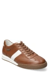 Mephisto Elyo Sneaker In Brown