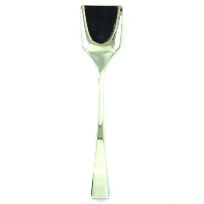 Mepra Italia Ice Cream Spoon