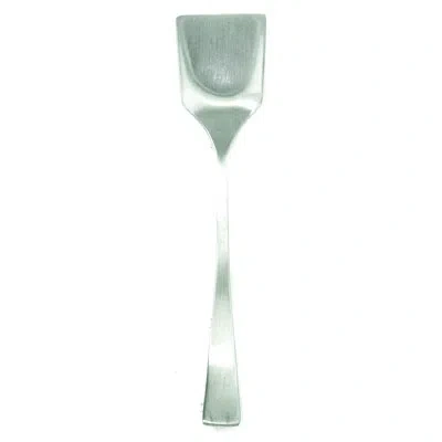 Mepra Italia Ice Cream Spoon