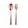 Mepra Linea Ice Serving Set In Bronze
