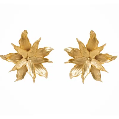Meraki By Rashmi Bajaj Women's Star Flower Gold Earrings
