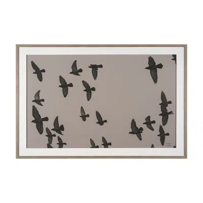Mercana Flock By Nathan Larson A Hand Embellished Framed Photo Print Under Glass In Brown