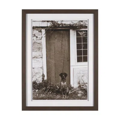 Mercana I Am Home By Jim Dratfield A Framed Photo Print Matted Under Glass In Brown