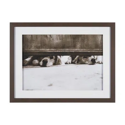 Mercana We See You Dogs By Jim Dratfield Framed Photo Print Under Glass In Gray