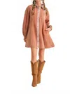 Merci Edge Line Denim Mini Dress In Terra Cotta In Brown