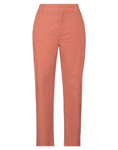 Merci .., Woman Pants Tan Size 10 Cotton, Nylon, Elastane In Brown