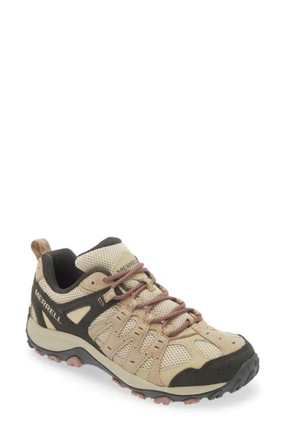 Merrell Accentor 3 Hiking Shoe In Incense