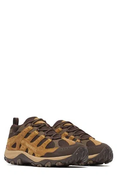 Merrell Accentor 4 Hiking Shoe In Brown