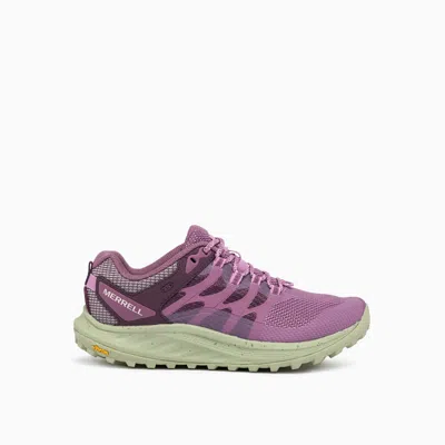 Merrell Antora 3 Sneakers In Purple