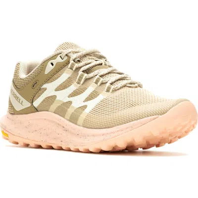 Merrell Antora 3 Trail Running Sneaker In Brown