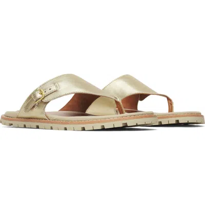 Merrell Haven Sandal In Multi