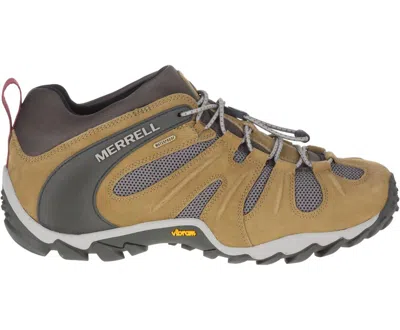 Merrell Men's Chameleon 8 Stretch Shoes In Butternut In Gray