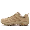 Merrell Moab 3 Syn Gore-tex 'incense' In Brown