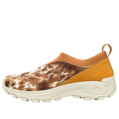 Merrell Winter Moc 3 Ch Se 'spice' In Brown