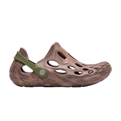 Pre-owned Merrell Wmns Hydro Moc 'avocado Burlwood' | Purple | Women's Size 11