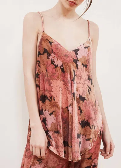 Mes Demoiselles Bellona Velvet Top In Floral Combo In Pink