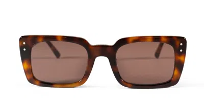 Messy Weekend Anna Tortoise Brown Women's Sunglasses Tortoiseshell Size 51