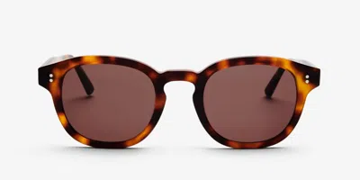 Messy Weekend Bille Tortoise Gradient Brown Men's Sunglasses Tortoiseshell Size 49