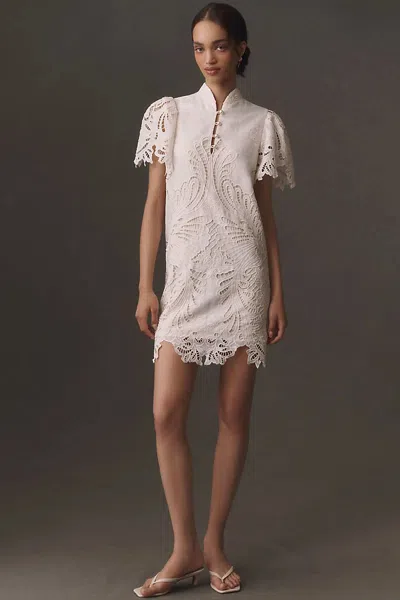 Mestiza Elliana Lace Mini Dress In Neutral