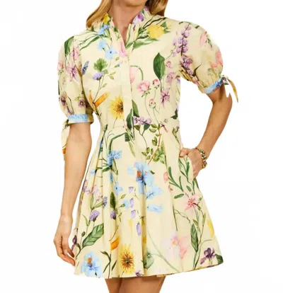 Mestiza New York A-line Mini Dress In Beige In Yellow