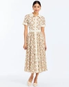 Mestiza New York Billie Collared Shirt Dress In Brown