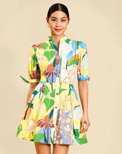Mestiza New York Brooklyn Mini Dress In Primrose In Multi
