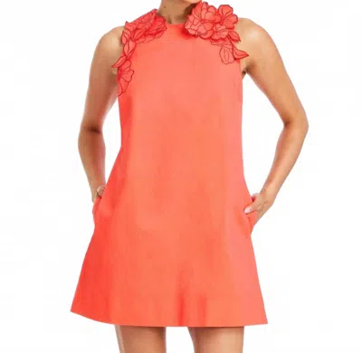 Mestiza New York Juniper Shift Mini Dress In Calypso Coral In Orange