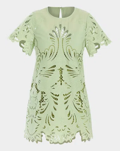 Mestiza New York Lupe Cutout Embroidered Mini Dress In Light Green