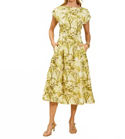 Mestiza New York Quinn Midi Dress In Citrus Toile In Green