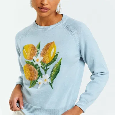 Mestiza New York Women's Delilah Long Sleeve Cotton Sweater In Blue Lemon In Multi