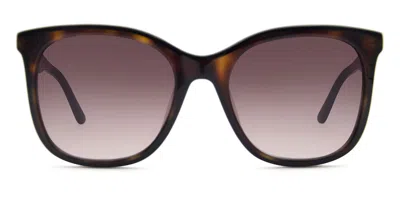 Mexx 6567 100 Occhiali Da Sole Tartarugatishell Per Uomo In Brown